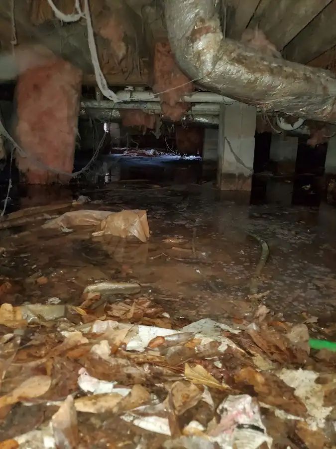 Crawl space flood assessment for Leak Detection & Repair in Bourbonnais